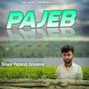 About Aapa Karbo Pyar Sikha Song