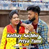 Kothay Aachho Priya Tumi