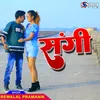 About Sangi Song