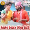 About Kacha Badam Niye Aali Song