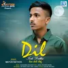 Dil Todi Didhu