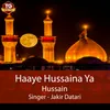 Haye Hussaina Ya Hussain