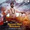 About Mahadev Mere Bholenath Song