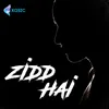 About Zidd Hai Song