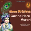 Shree Krishna Govind Hare Murari