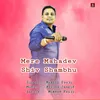 About Mere Mahadev Shiv Shambhu Song