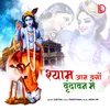 About Shyama Aan Baso Vrindavan Mein Song