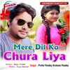 About Mere Dil Ko Chura Liya Song