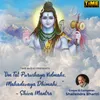 Om Tat Purushaya Vidmahe, Mahadevaya Dhimahi - Shiva Mantra