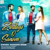 About Zindagi O Sanam Song