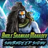 Bhole Shankar Mahadev