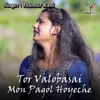 About Tor Valobasai Mon Pagol Hoyeche Song