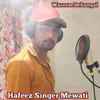 About Hafeez Dholi Ki Love Story Song