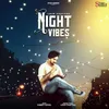 About Night Vibes Song