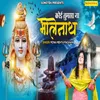 About Koi Tumsa Na Bholenath Song