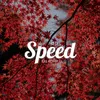 About Speed Up Song