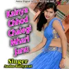 About Kainya Chhod Chalegi Mhari Janu Song