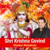 About Shri Krishna Govind Song