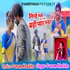 About Ningahe Gane En Jodi Badi Pyar Nandan Song