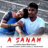 About A SANAM Song