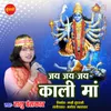 About Jai Jai Jai Kali Maa Song