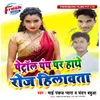 About Petrol Pump Par Hathe Roj Hilawta Song