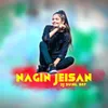 About NAGIN JEISAN Song