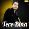 Tere Bina