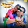 About Bewafa Heer Song