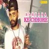About Haryana Ke Chhore Song