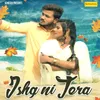 About Ishq Ni Tera Song