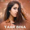 About Yaar Bina Song