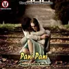 About Pani Pani Song