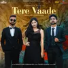 About Tere Vaade Song