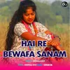 About Hai Re Bewafa Sanam Song