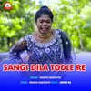 About Sangi Dila Todle Re Song