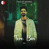 About Tere Bin Song