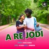 About A Re Jodi Song