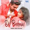 About Dil Bechain Song