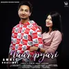 About Naar Pyari Song