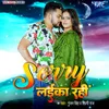 About Sorry Laika Rahi Song