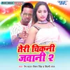 About Teri Chikani Jawani 2 Song