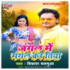 About Jangal Me Mangal Karatiya Song