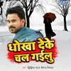 About Dhokha Deke Chal Gailu Song