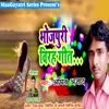 About Bhojpuri Birah Geet Song