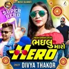 Bhailu Maro Hero-Raksha Bandhan Special