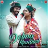 About DOLMA KINNAURI Song