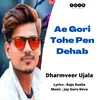 About Ae Gori Tohe Pen Dehab Song