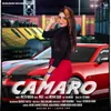 About Camaro Song