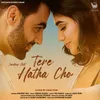 About Tere Hatha Cho Song